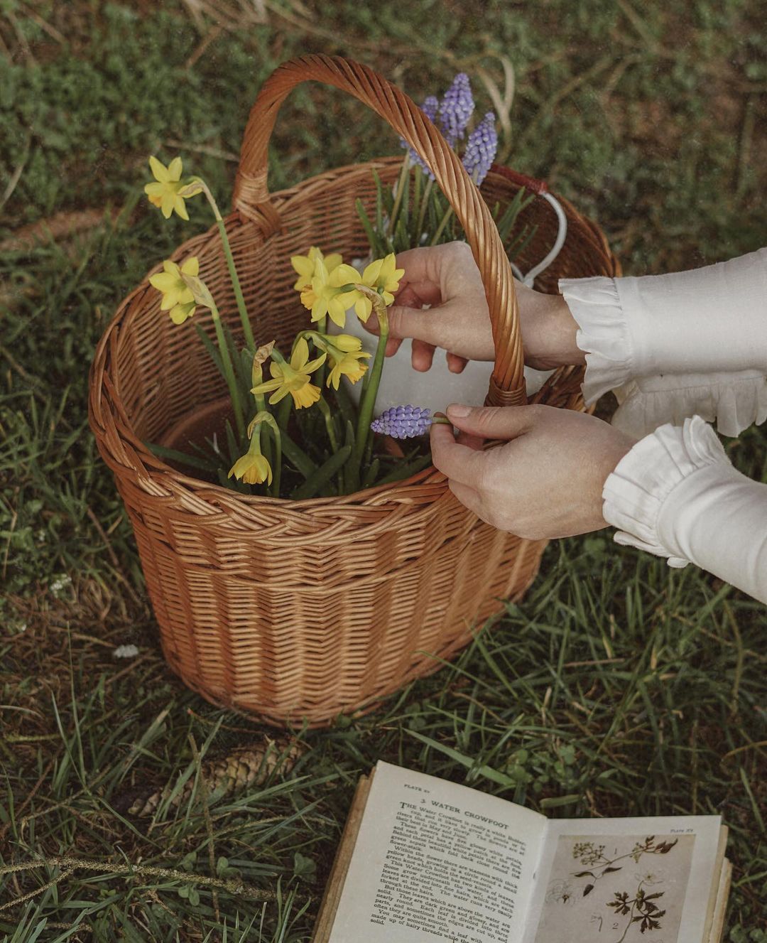 JO MARCH ACCORDION PLEATED LINEN SHIRT